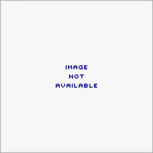 . QFT  F/BOWL GASK BLUE 10PK