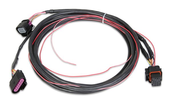 DOMINATOR EFI GM DRIVE BY WIREHARNESS