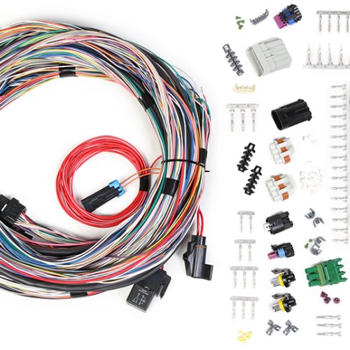 UNTERMINATED MAIN HARNESS     FOR HP & DOMINATOR EFI