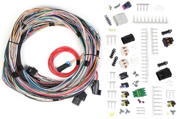 UNTERMINATED MAIN HARNESS     FOR HP & DOMINATOR EFI