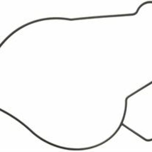 F250 7.3L FORD WATER          PUMP GASKET