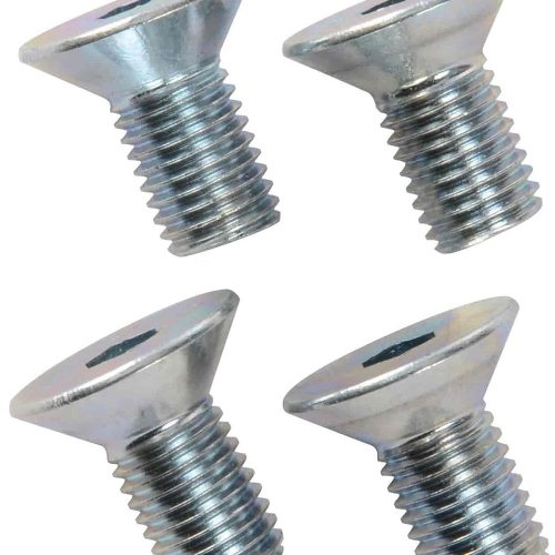 WATER PUMP PULLEY BOLTS 4 PACKSTAINLESS  ALT USE BSRP8020