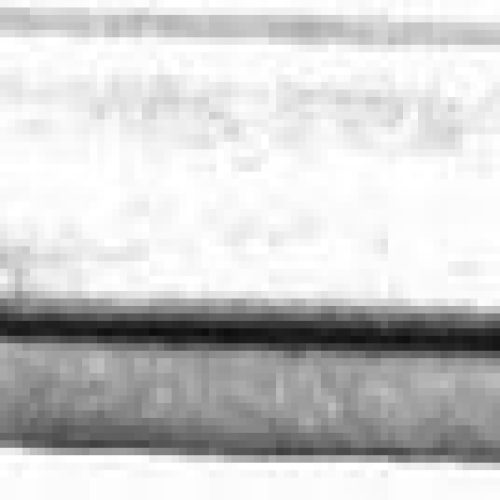 CHROME STEEL MINI HEX VALVE   1/4-20 COVER BOLT 4 PK 1-3/8″H
