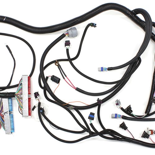LS1 4L60 STANDALONE WIRING    HARNESS LOOM 4L60E TRANS