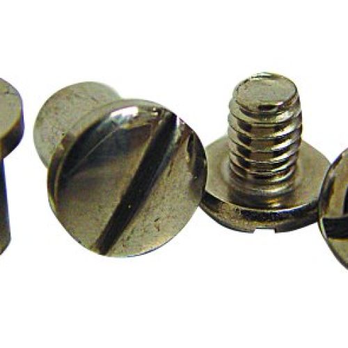 1928/32 PIVOT BOLT & NUT SET  S/S POLISH SUIT CLOSED CAR W/S