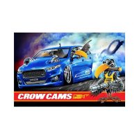 CROW FORD BURNOUT CAR BANNER
