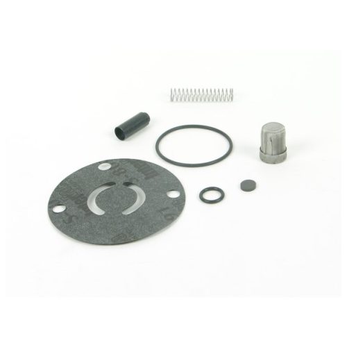 CHECK VALVE KIT FOR 12-125