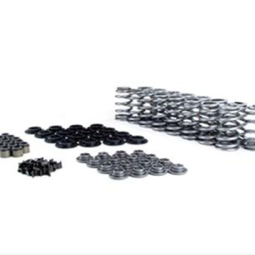 LS DUAL VALVE SPRING KIT      TI RETAINERS, .675″ MAX LIFT