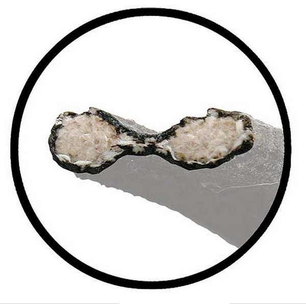 1933/34 RAD SHELL LACING KIT SUIT 33-34 PASS