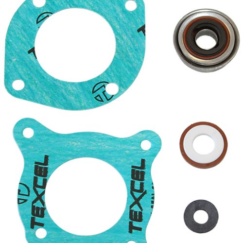 DEDENBEAR ELECTRIC MOTOR SEAL KIT FOR WP1, WP2 & WP3