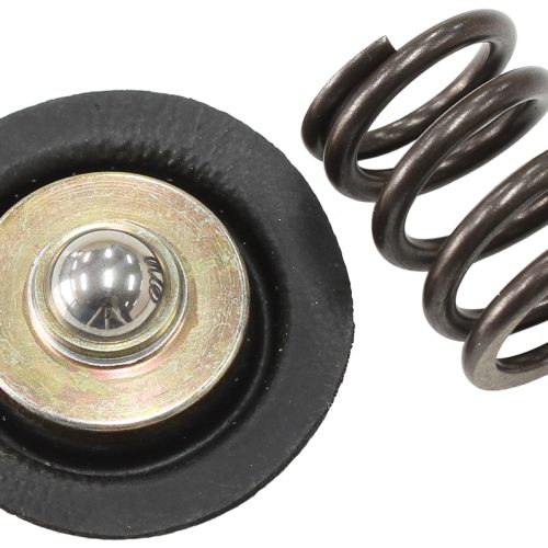 REPLACEMENT DIAPHRAGM & SPRINGFOR AF66-2058 FUEL REGULATOR