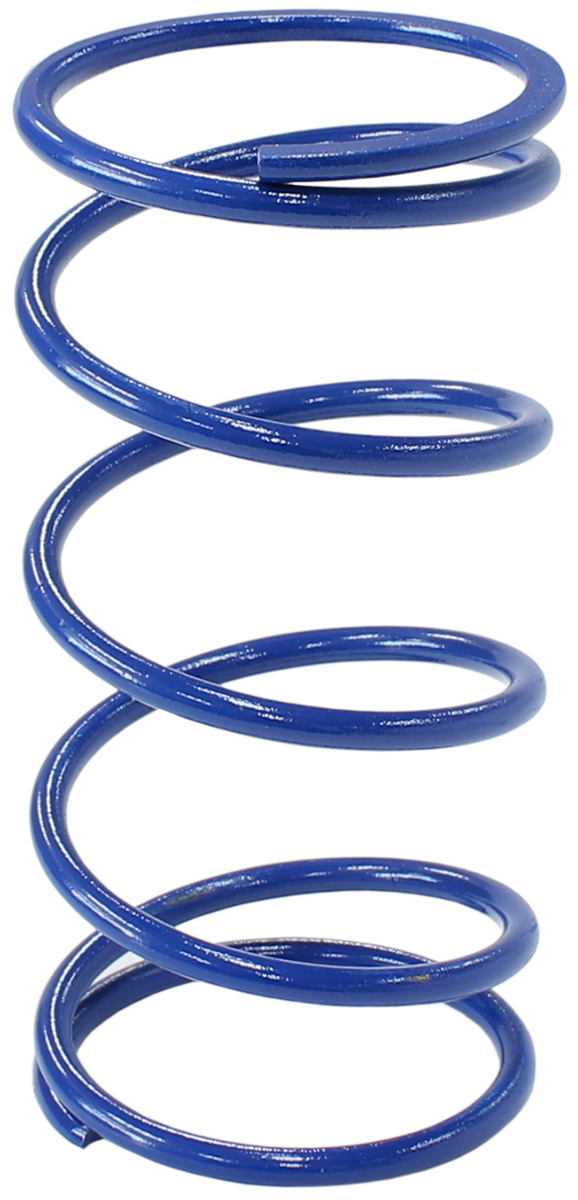 WASTEGATE BLUE MIDDLE SPRING SUIT 60mm EXTERNAL WASTE GATE