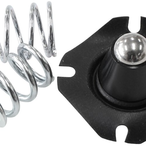 AF66-2060 REPLACEMENT DIAPHRAGAND SPRING ASSEMBLY