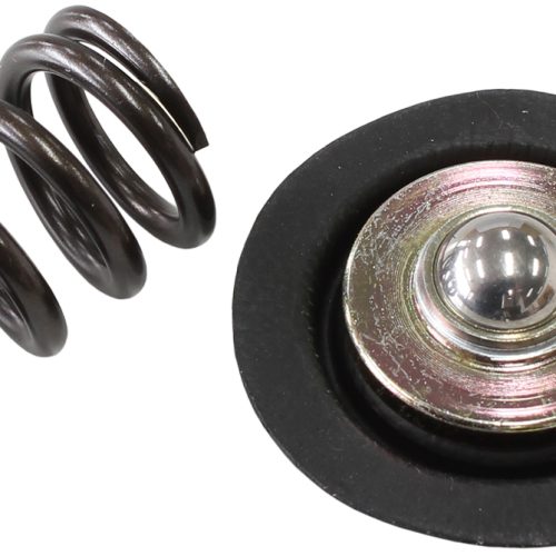 AF66-2058 REPLACEMENT DIAPHRAGAND SPRING ASSEMBLY