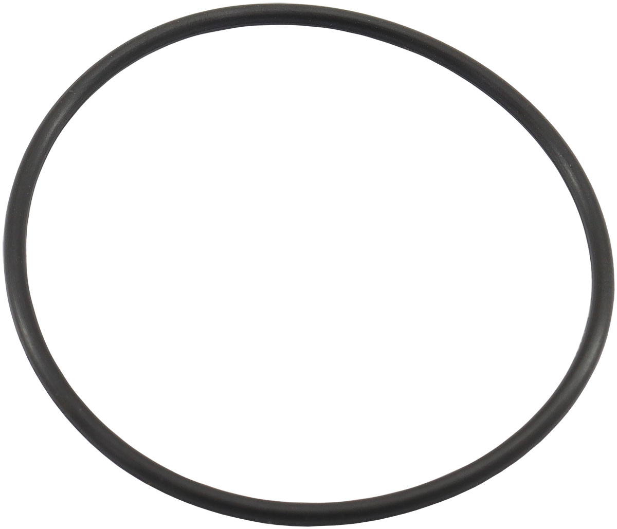PRO FILTER 2.4" x 7" BODY O-RING REPLACEMENT 66-2043