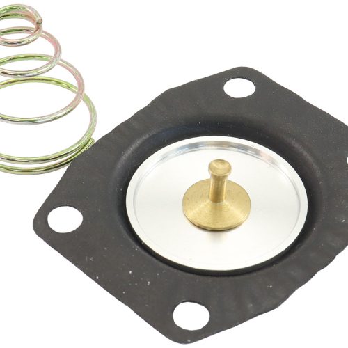 REG REPLACEMENT DIAPHRAGM NEW STYLE SPRING 49-3000 / 49-4000