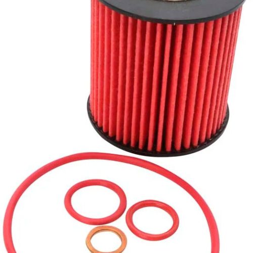 OIL FILTER – BMW PETROL       RYCO R2724P