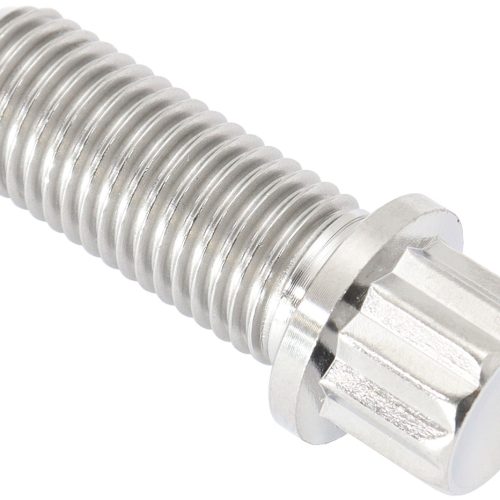 M10x1.25 TITANIUM BOLT 25mmUHL12 POINT SINGLE M10 x 1.25mm