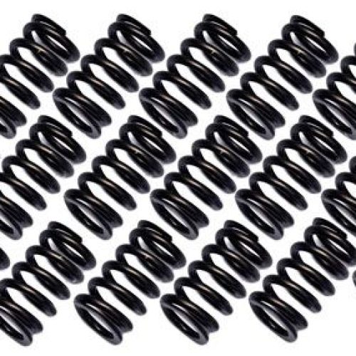 NISSAN RB26DETT VALVE SPRINGS SET. (SET OF 24)
