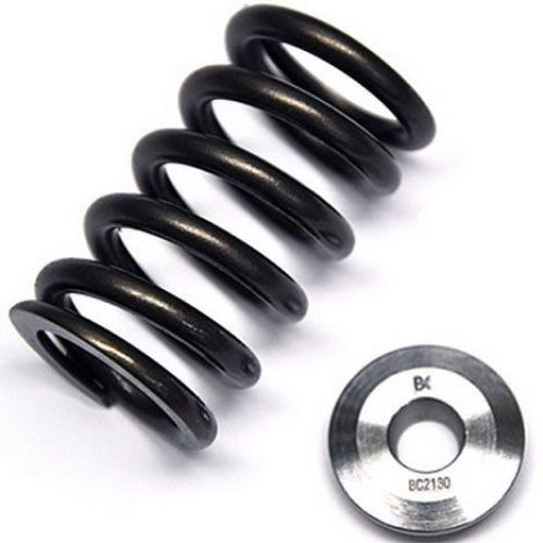 SPRING / RETAINER KIT EVO 10  SINGLE SPRING &TITANIUM RETAIN