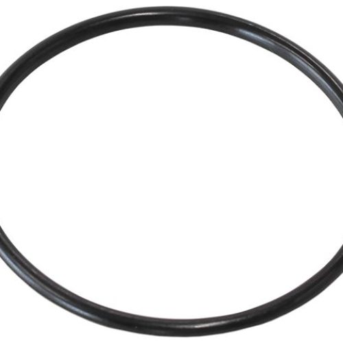 REPLACEMENT O-RINGS FOR -48   CAP 1X EPR & 1X BUNA N O-RING