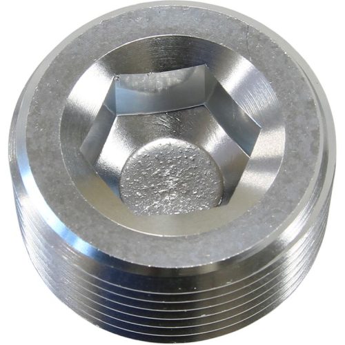NPT PLUG 1/4″                 SILVER 1/4″ NPT